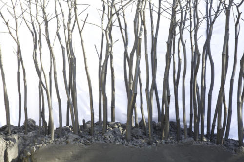 Terra in moto/Frammento di paesaggio